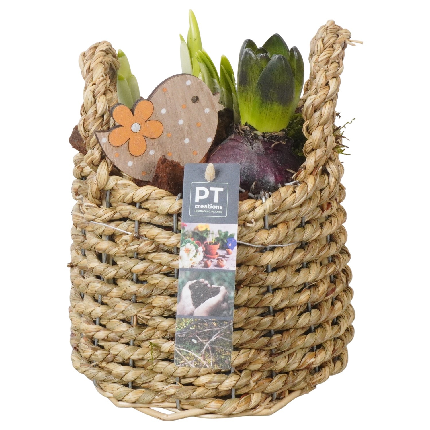 PTBM3832 Arrangement Flower Bulbs Mix in rieten mand, D 15