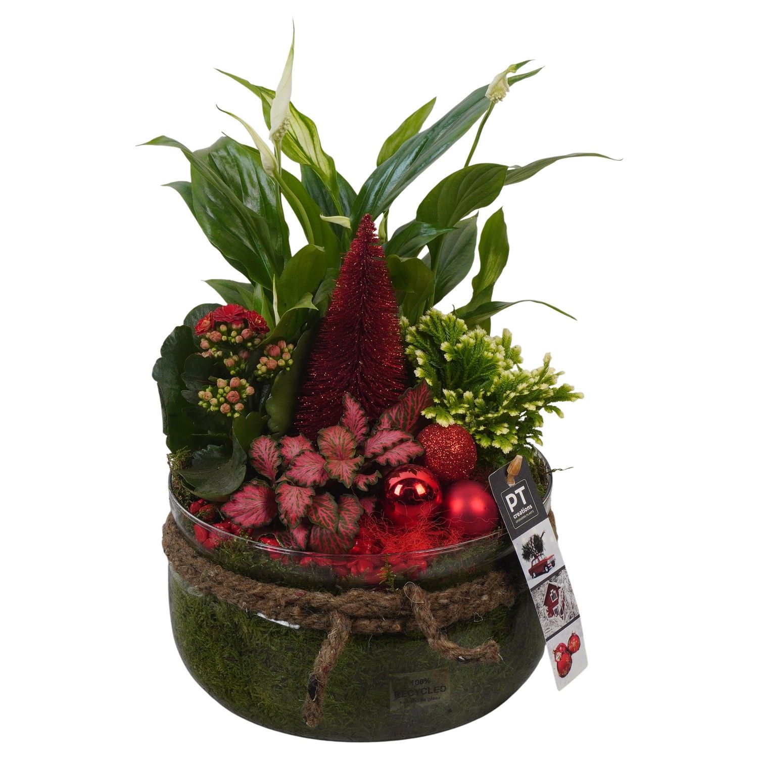 PTCHR7445 Arrangement Christmas Red in glas schaal, D 19 cm
