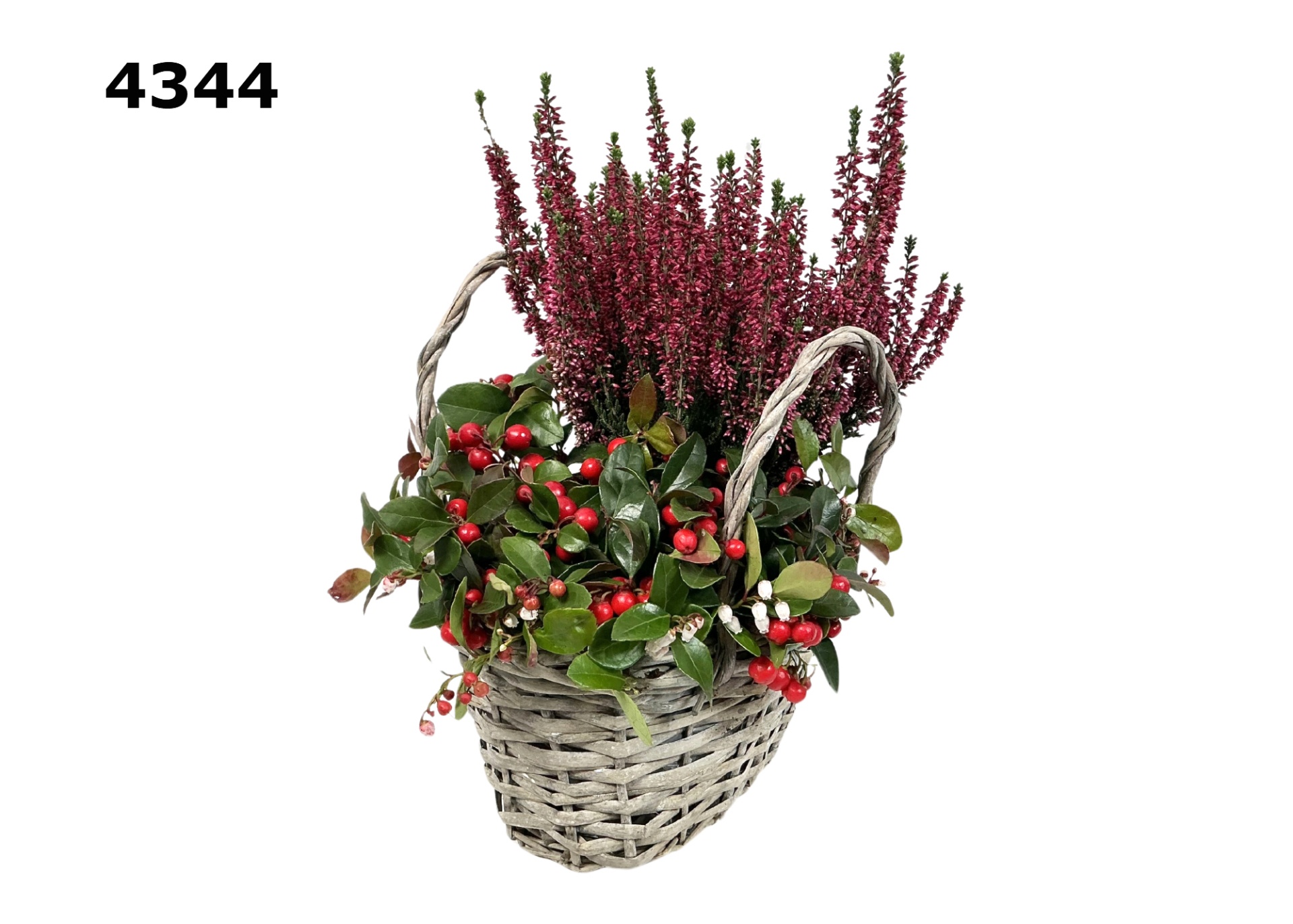 Herfst willowtas M, D 23