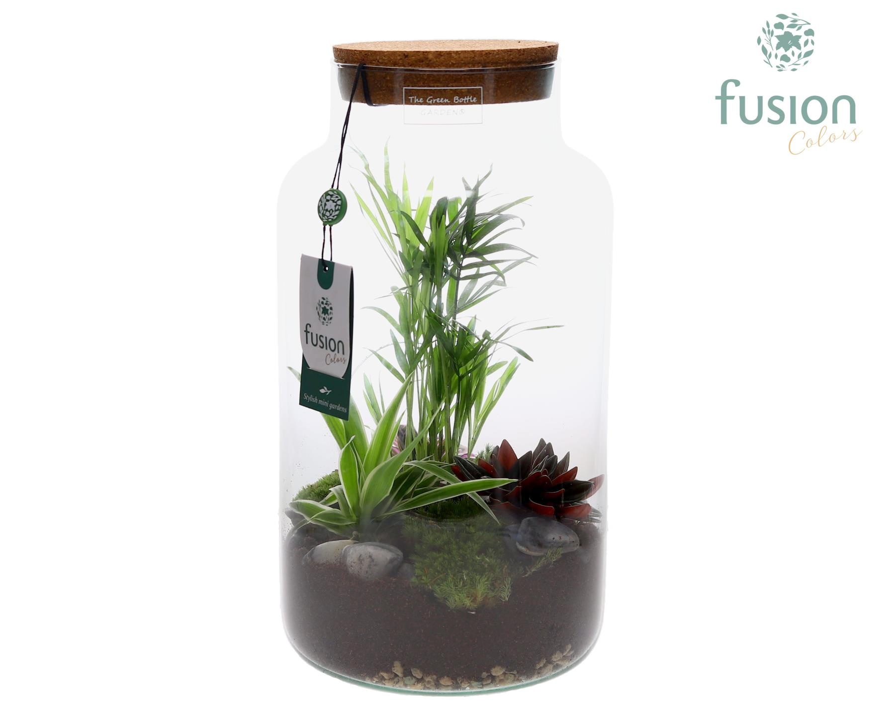 Green Bottle Pot Large met groene planten, D 19