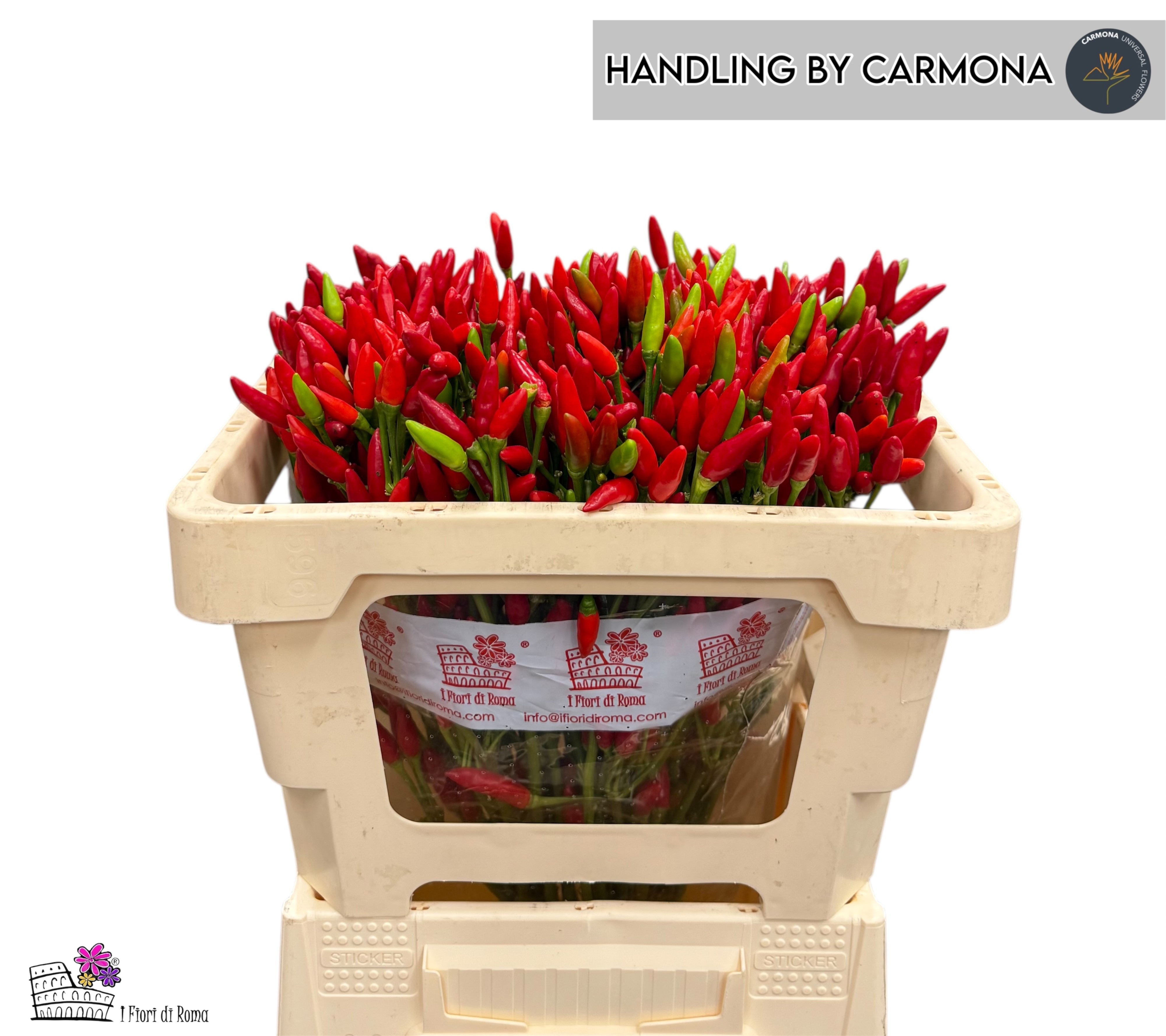 Капсикум Рэд Фае 50, шт. Капсикум Рэд Фае 50, шт.