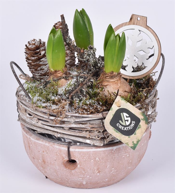 Willow rand met schaal terra 18cm, D 18 cm Willow rand met schaal terra 18cm, D 18 cm