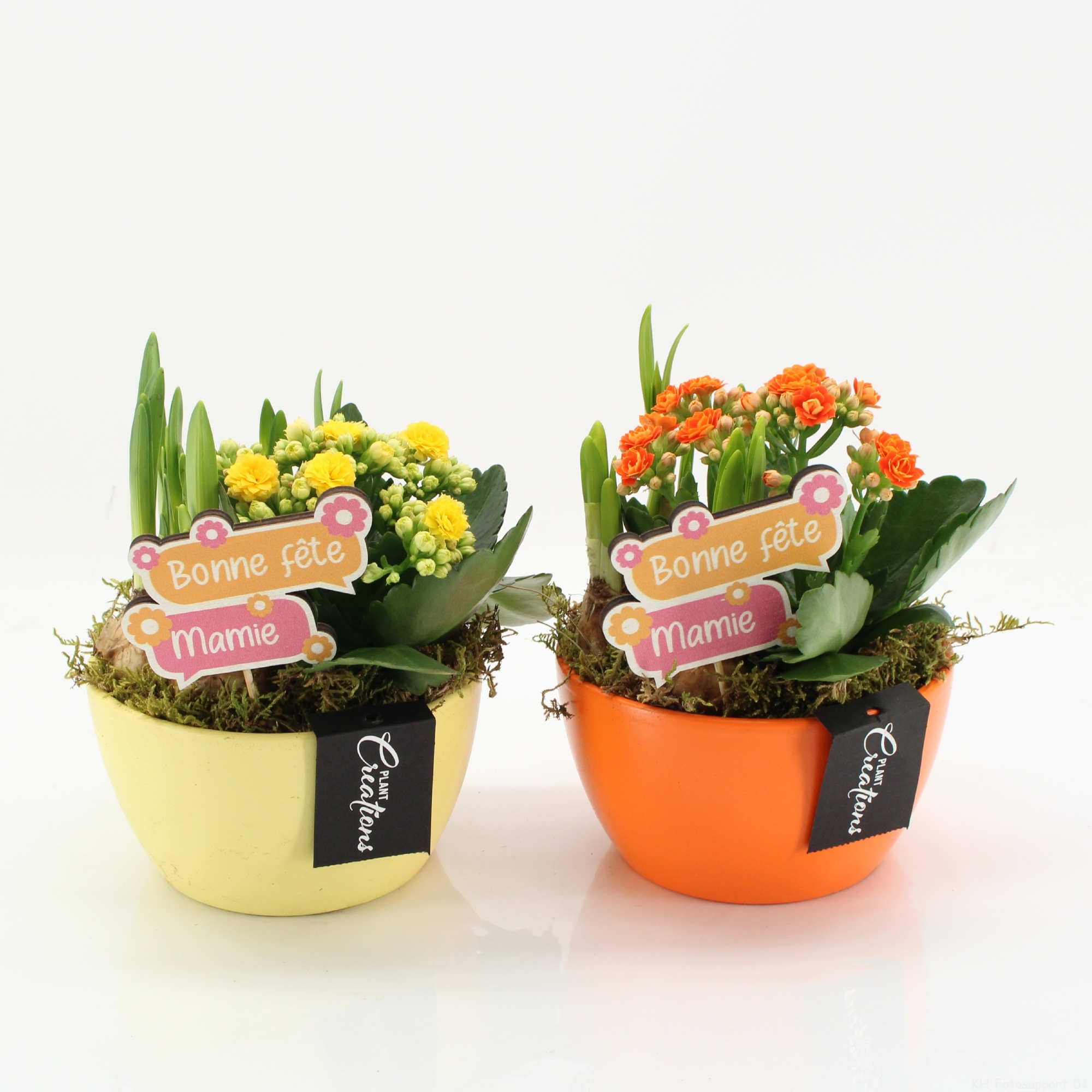 FGCR-2601M Fête des grands-mères, D 14