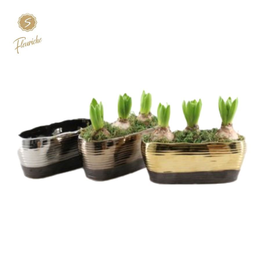 (3409) Hyacint Shiny Metal 3PP Mos, D 26 cm