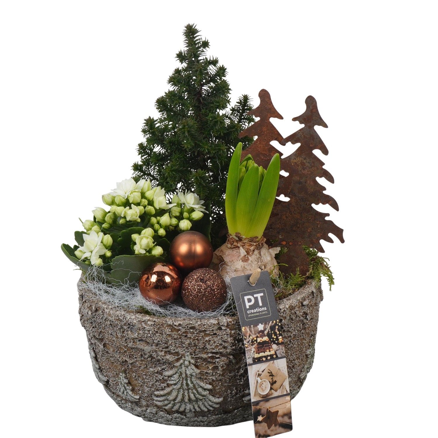PTCHB9776 Arrangement Christmas Bronze in beton pot, D 18 cm