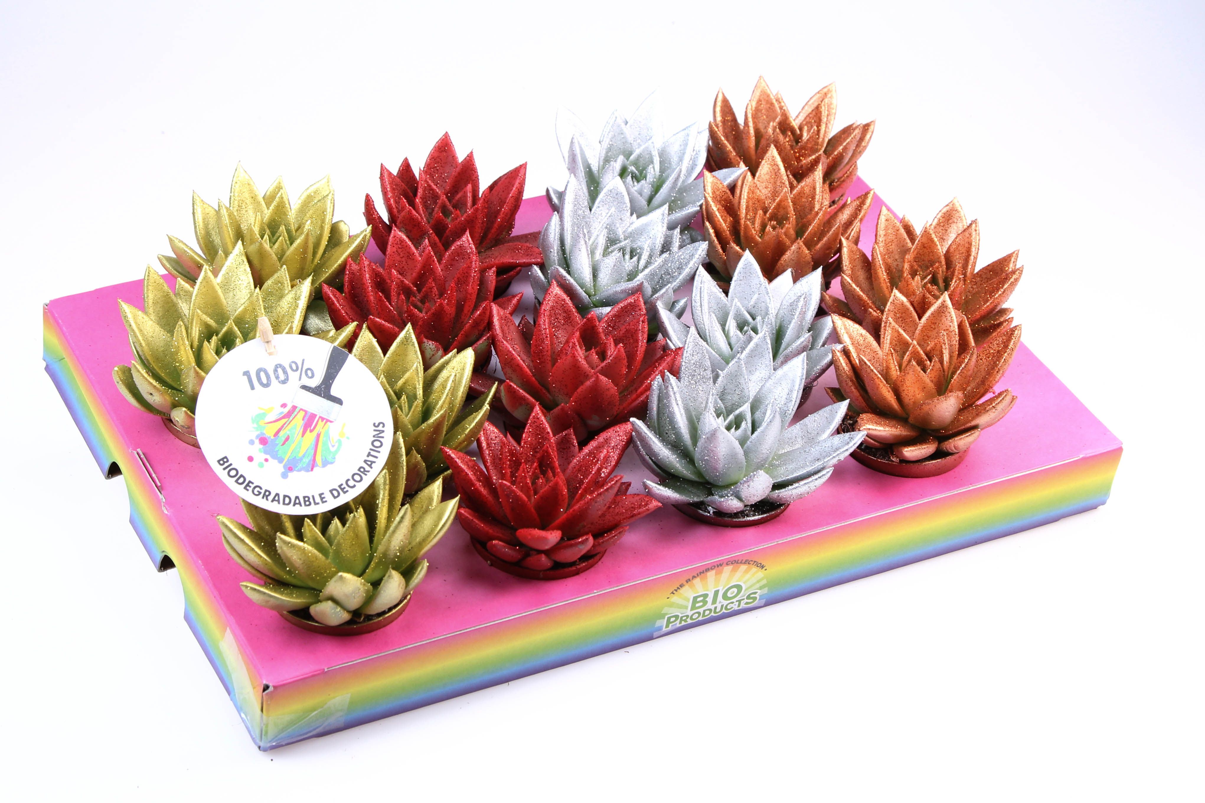 Bio miranda glitter mix, D 6