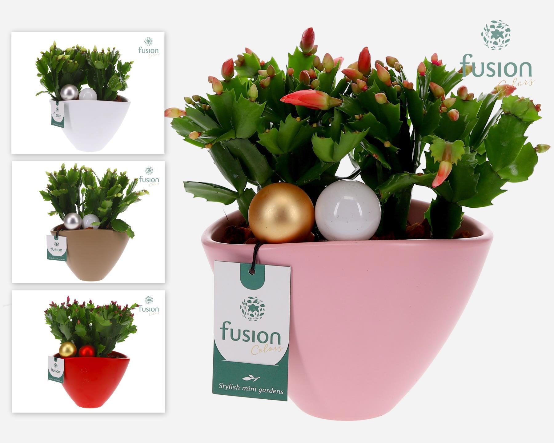Keramiek ovaal Medium met Kerst arrangement, D 18 cm Keramiek ovaal Medium met Kerst arrangement, D 18 cm