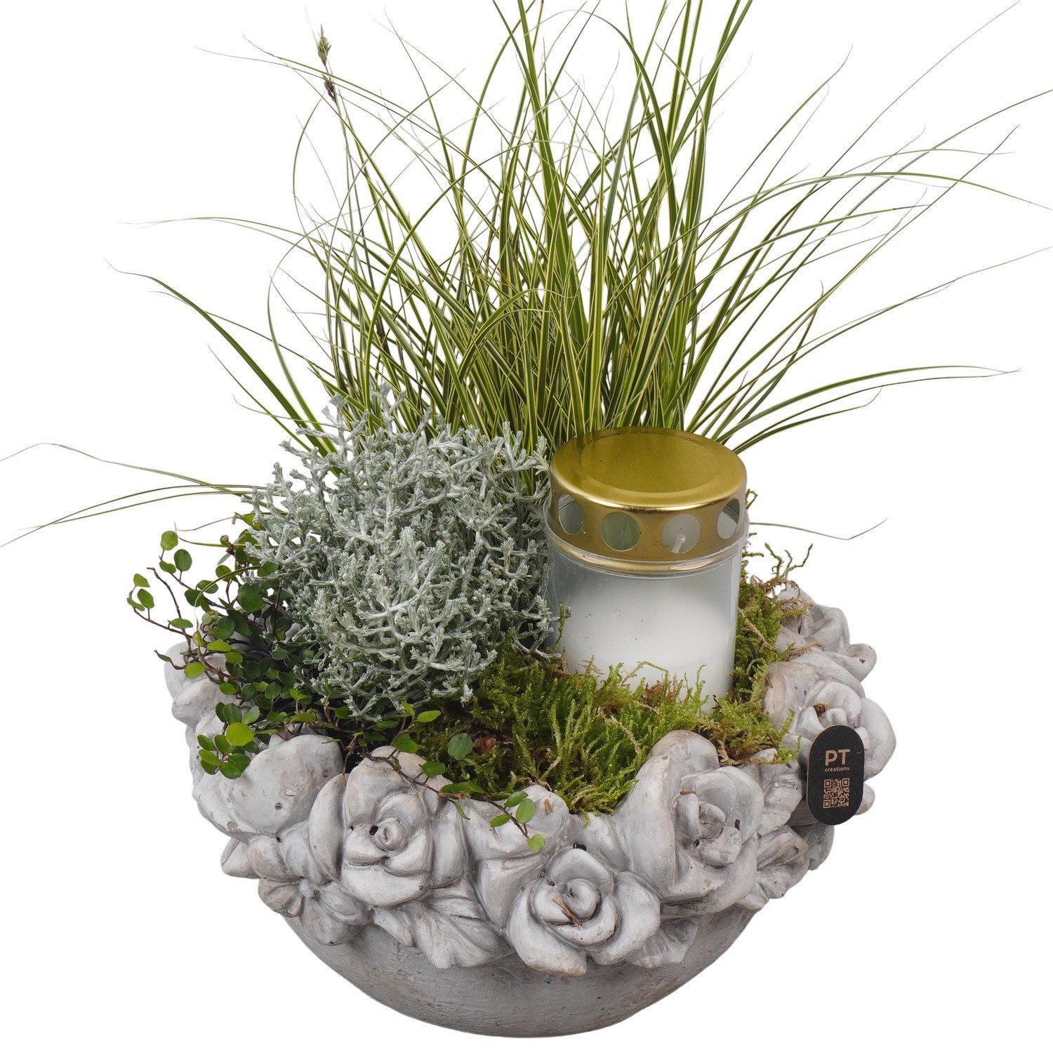 PTAH3039 Arrangement Allerheiligen in beton pot, D 22