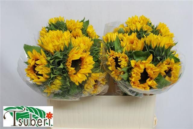 Гелиантус Оранж Фае 80, шт. Гелиантус Оранж Фае 80, шт.