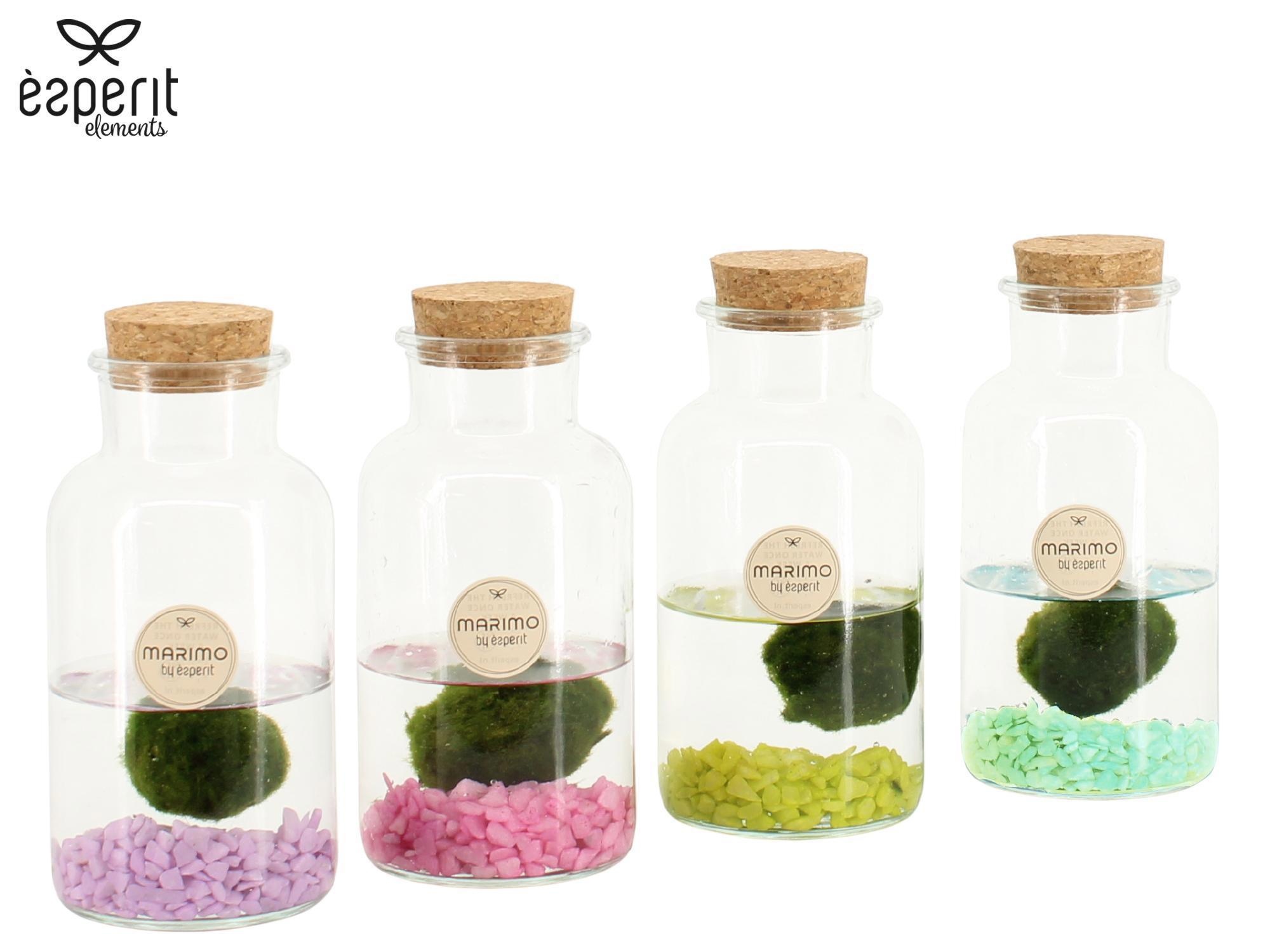 90942: Marimo arrangement, D 8