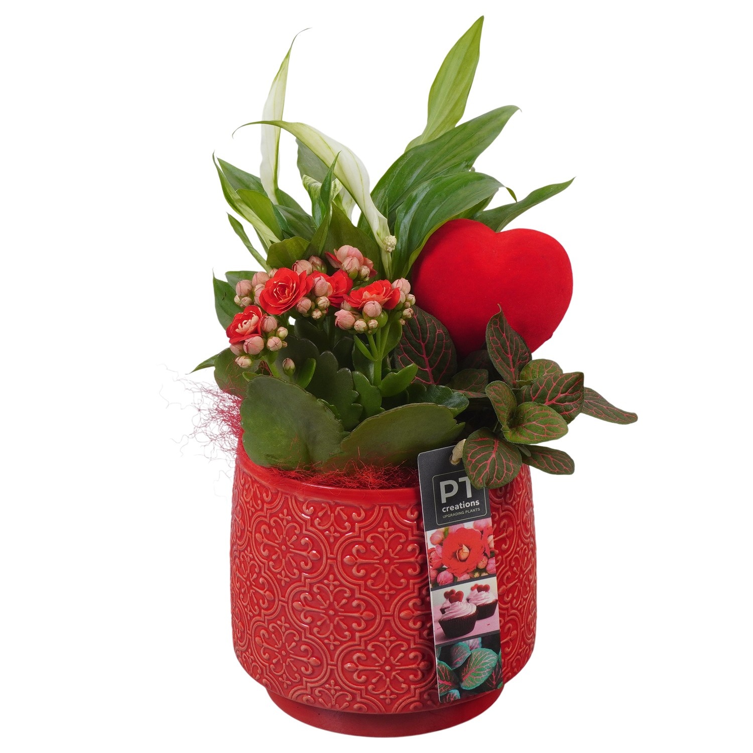 PTVMB2230 Arrangement Valentines-Mothersday in keramiek sierpot, D 14