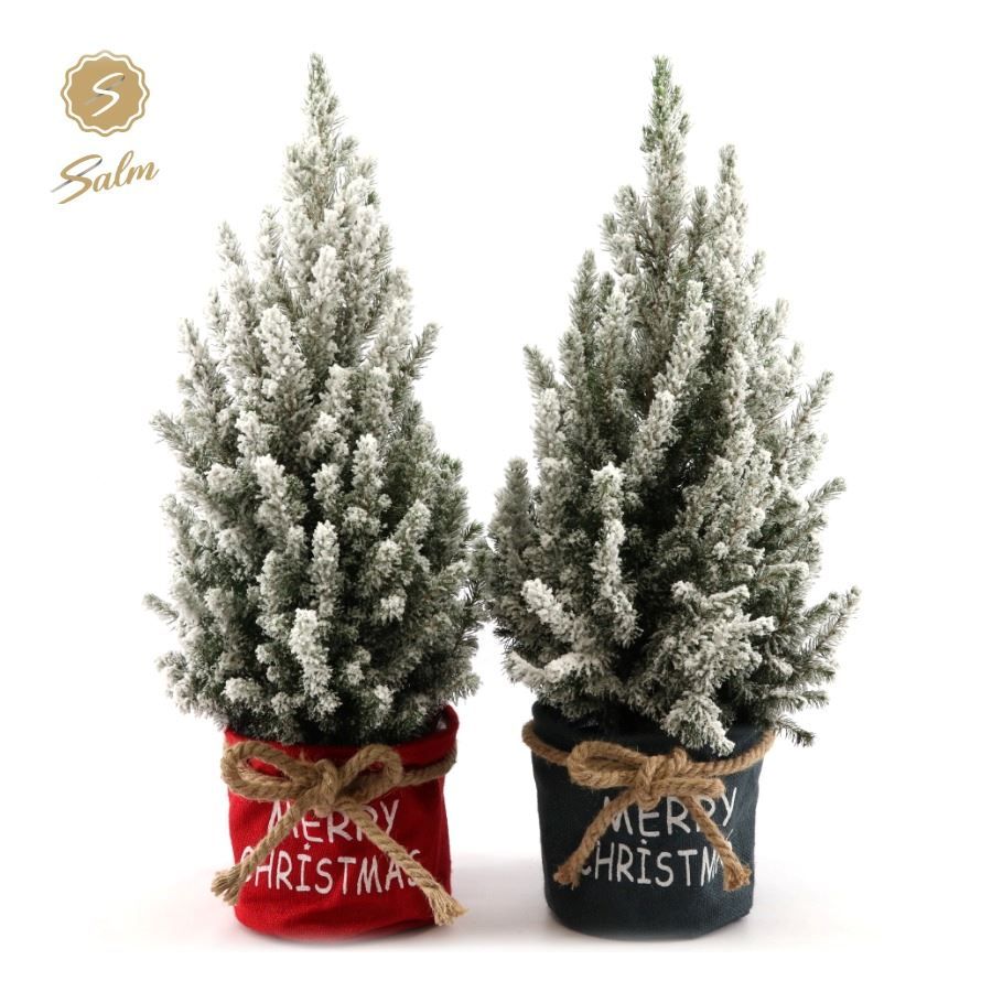 Picea gl. 'December'® P19 in Bag X-mas Duo + Snow, D 21 cm