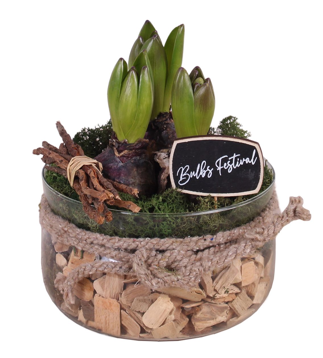 Bulbs Arr. Hyacint Glass Bowl with Rope Ø16cm 3PP, D 16