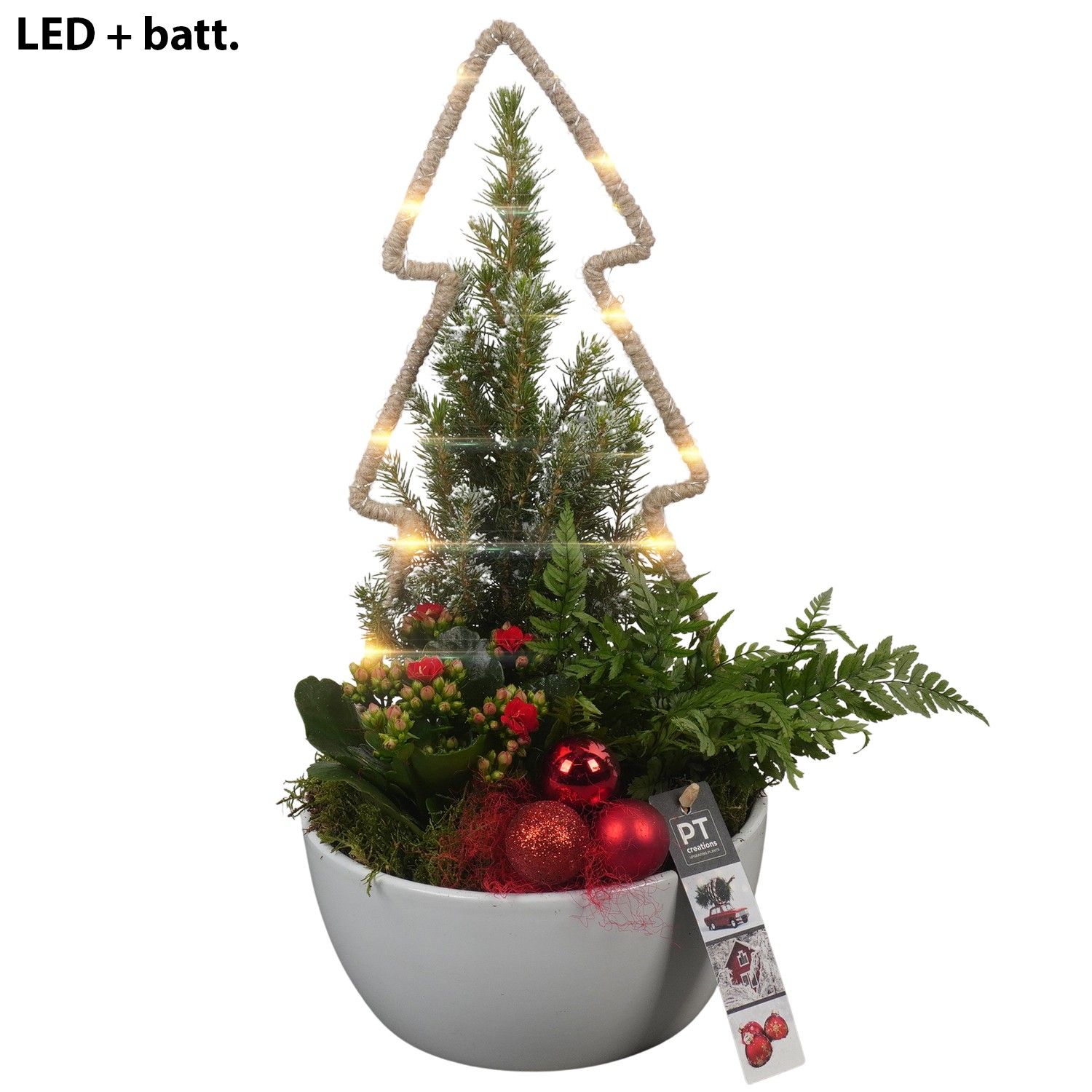 PTCHR7249 Arrangement Christmas Red in keramiek schaal, D 18 cm