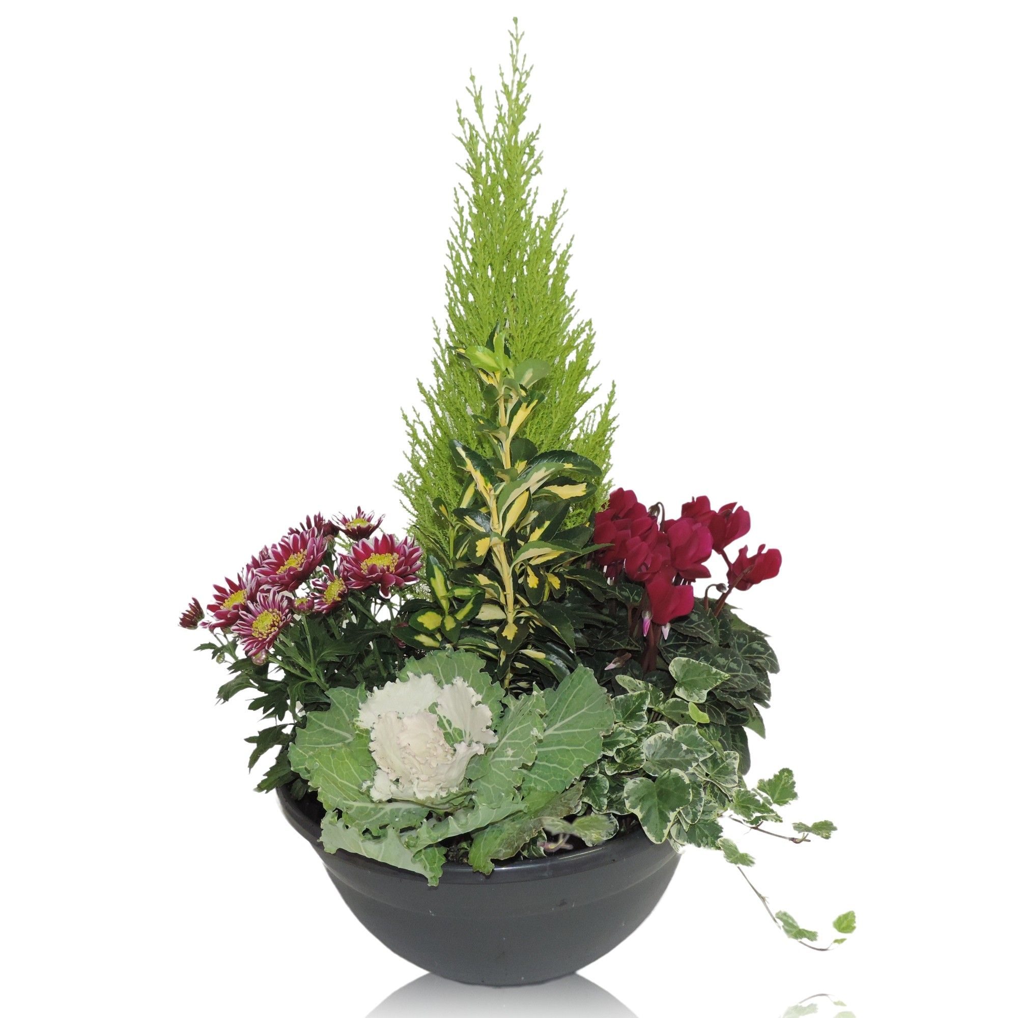 Arrangement Autumn Classic in Bowl 30 cm, D 30