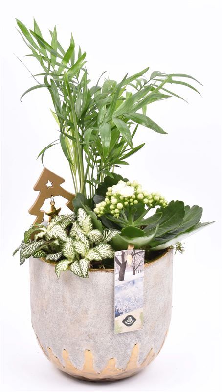 Cement sierpot met goud 14cm, D 14 cm Cement sierpot met goud 14cm, D 14 cm