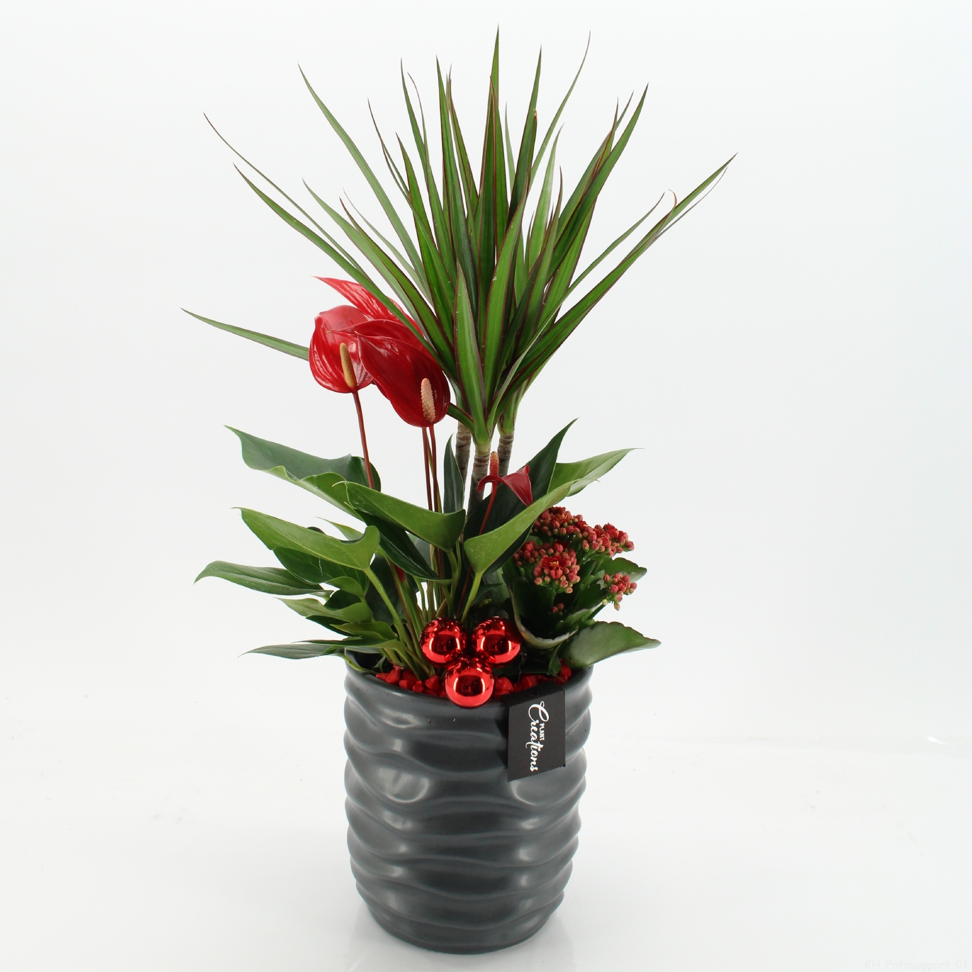 XMASXL-2513 Kerst XL, D 16 cm XMASXL-2513 Kerst XL, D 16 cm