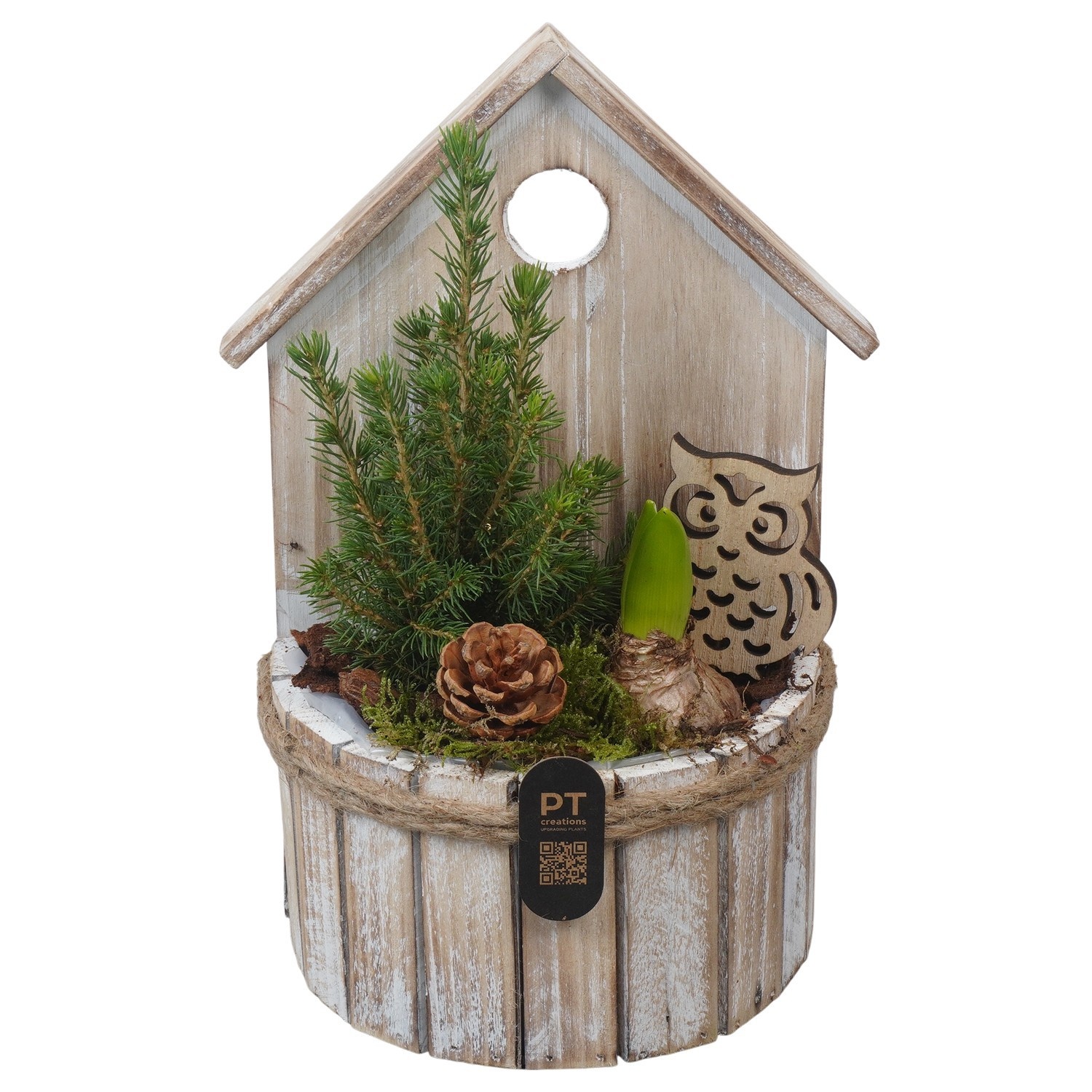 PTWO2823 Arrangement Winter Outdoor in houten vogelhuisje, D 16