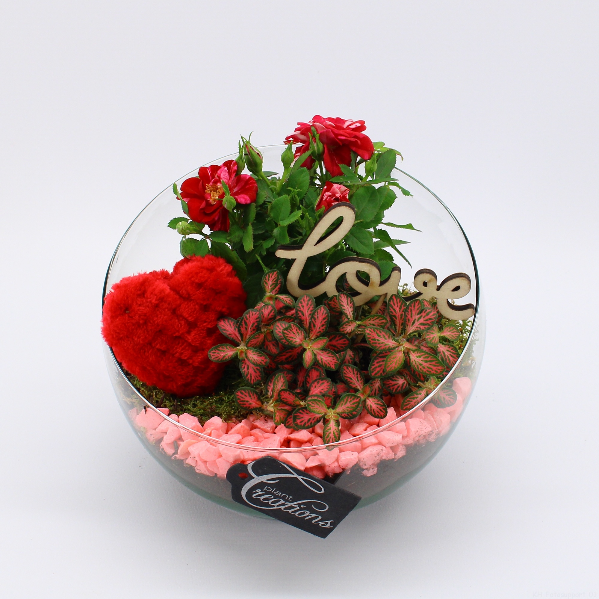 RMCR-2605 Romantic Essentials, D 18