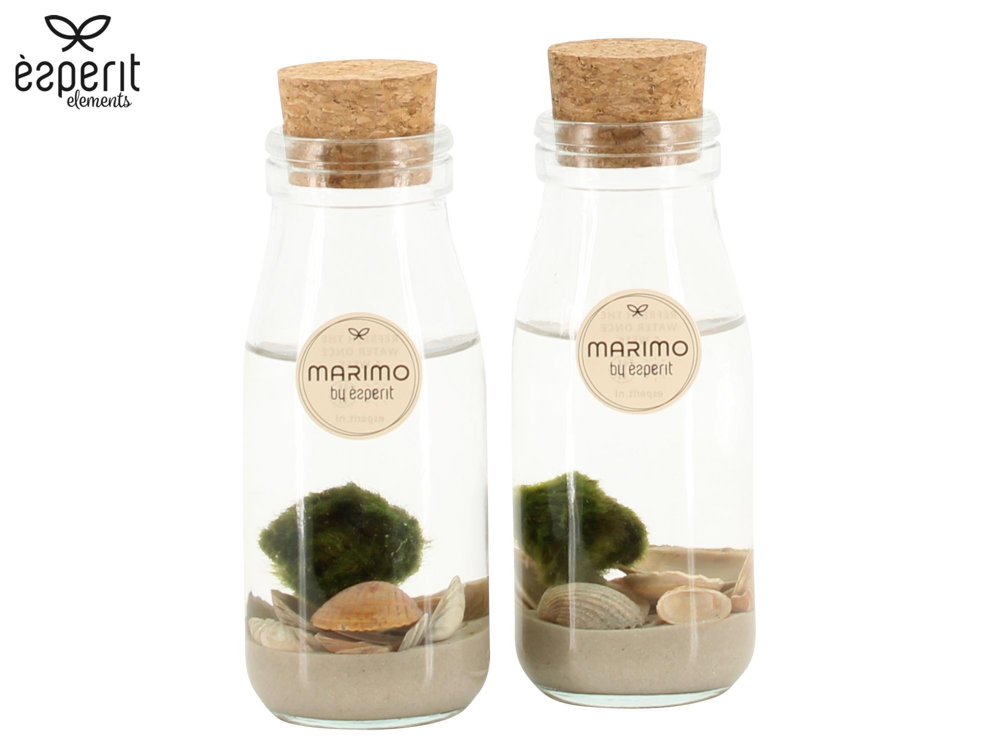 90964: Marimo arrangement, D 6