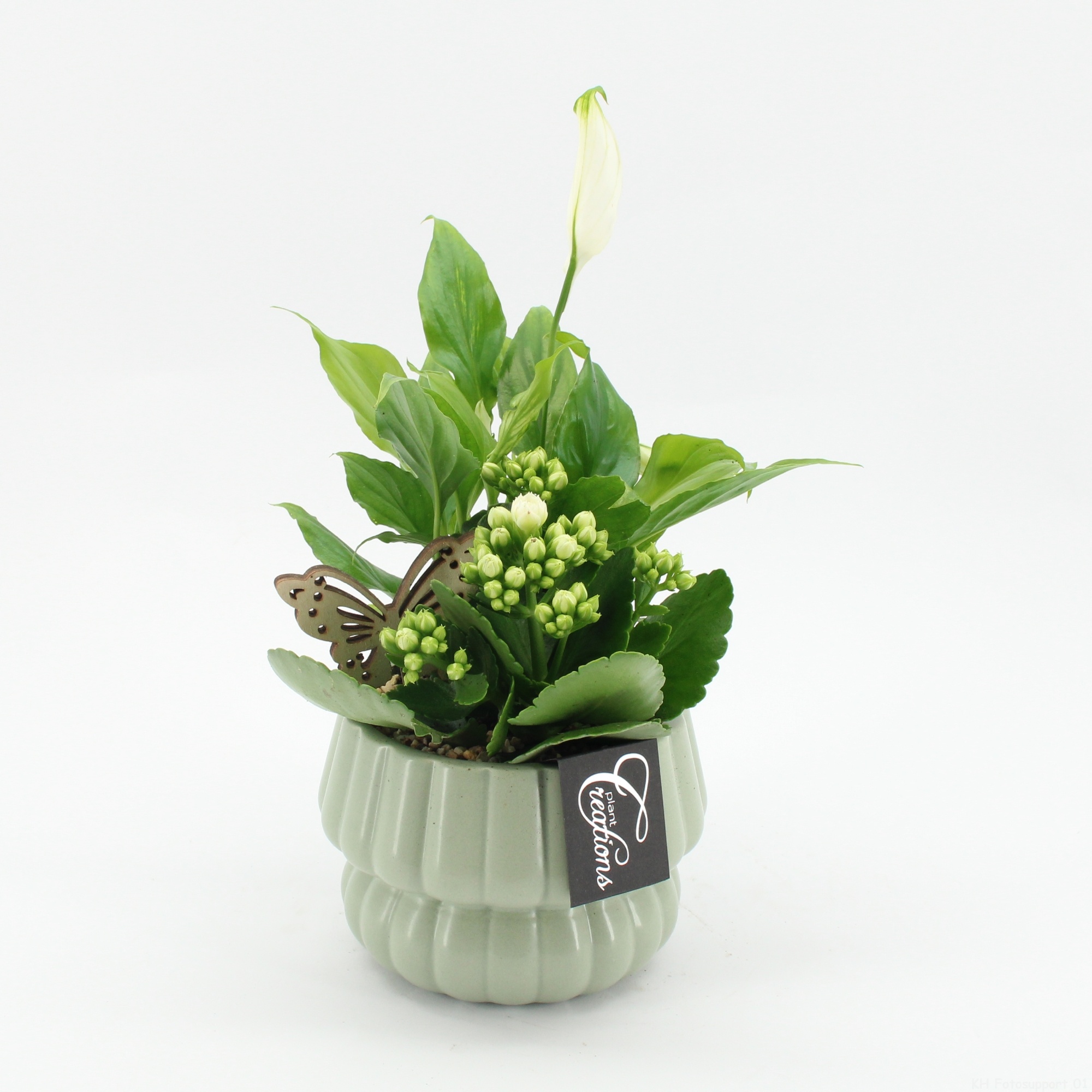 ESCR-2621W Essentials, D 14