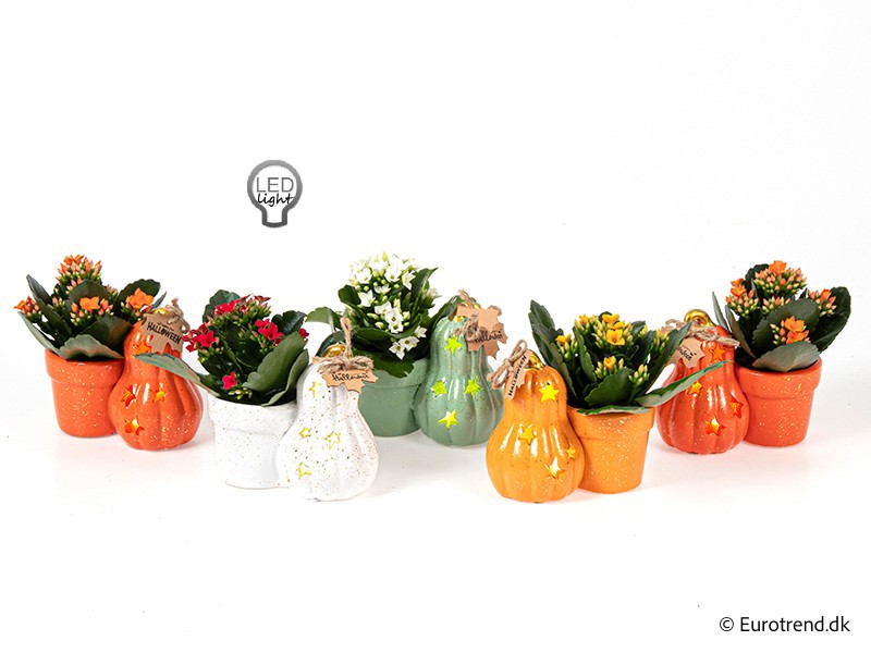 HALLOWEEN CERAMIC, D 6 cm