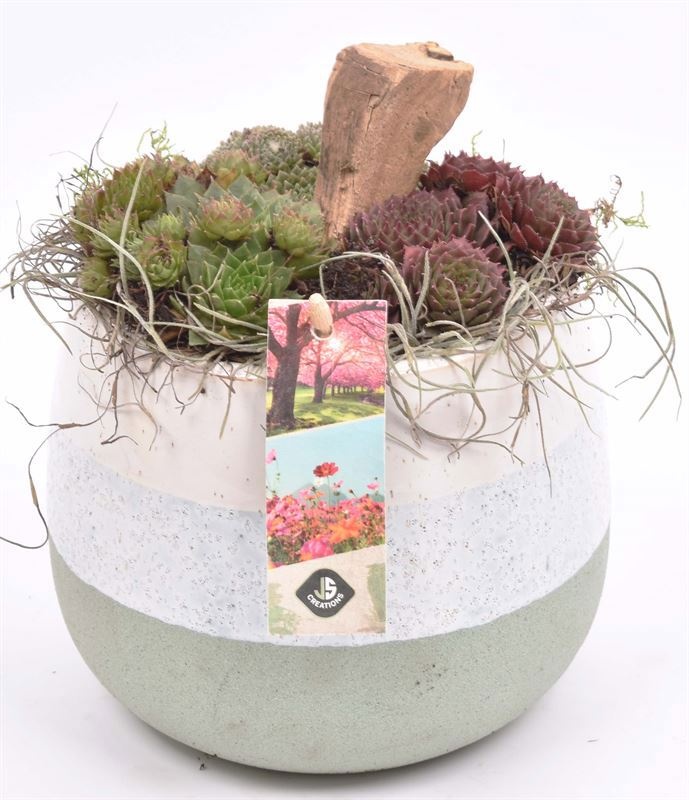 Keramiek pot wit/gr 14-15cm, D 14