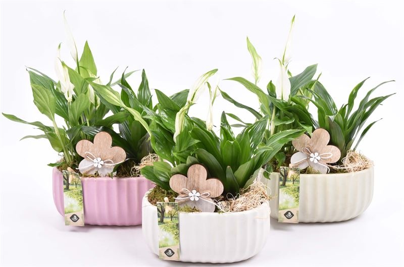 Keramiek ovaal mix kleur 18,5x12cm, D 19