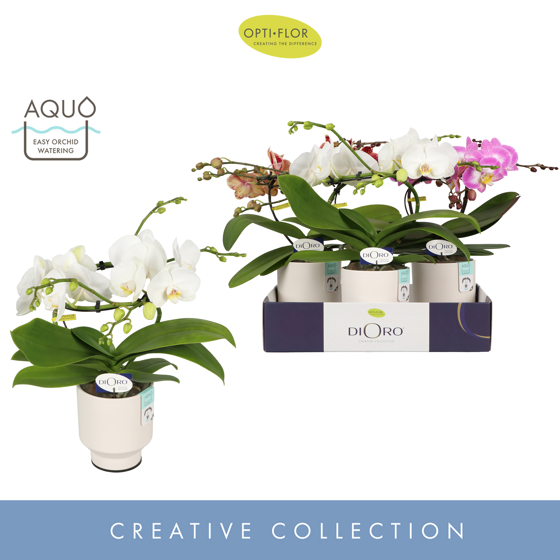 Dioro Mix 2 spike in Emilia White Aquo, D 12 cm