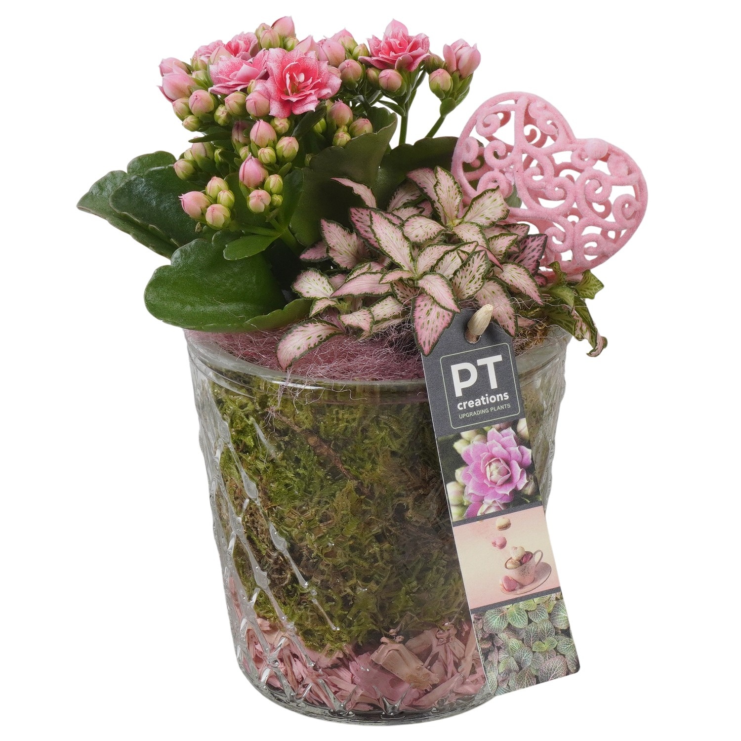 PTVMG4955 Arrangement Valentines-Mothersday in glas vaas, D 12