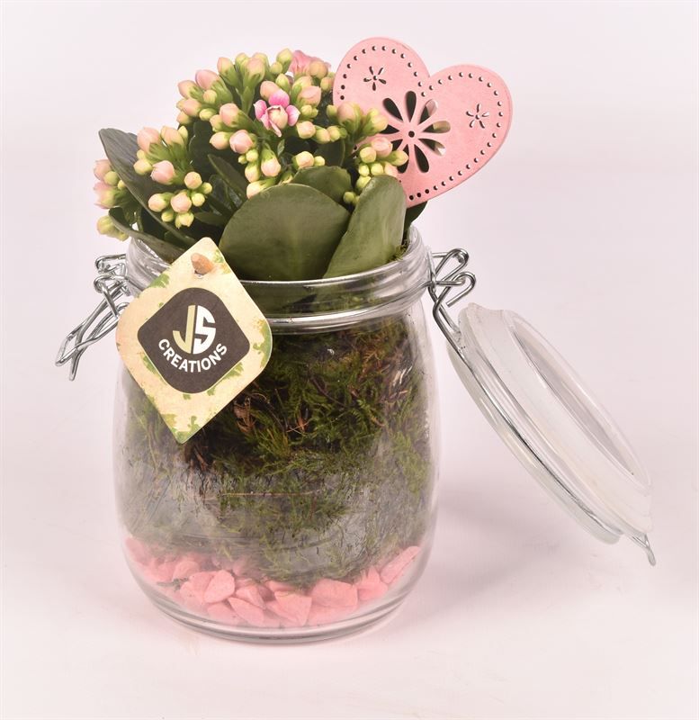 Glas weckpotje 11cm, D 11