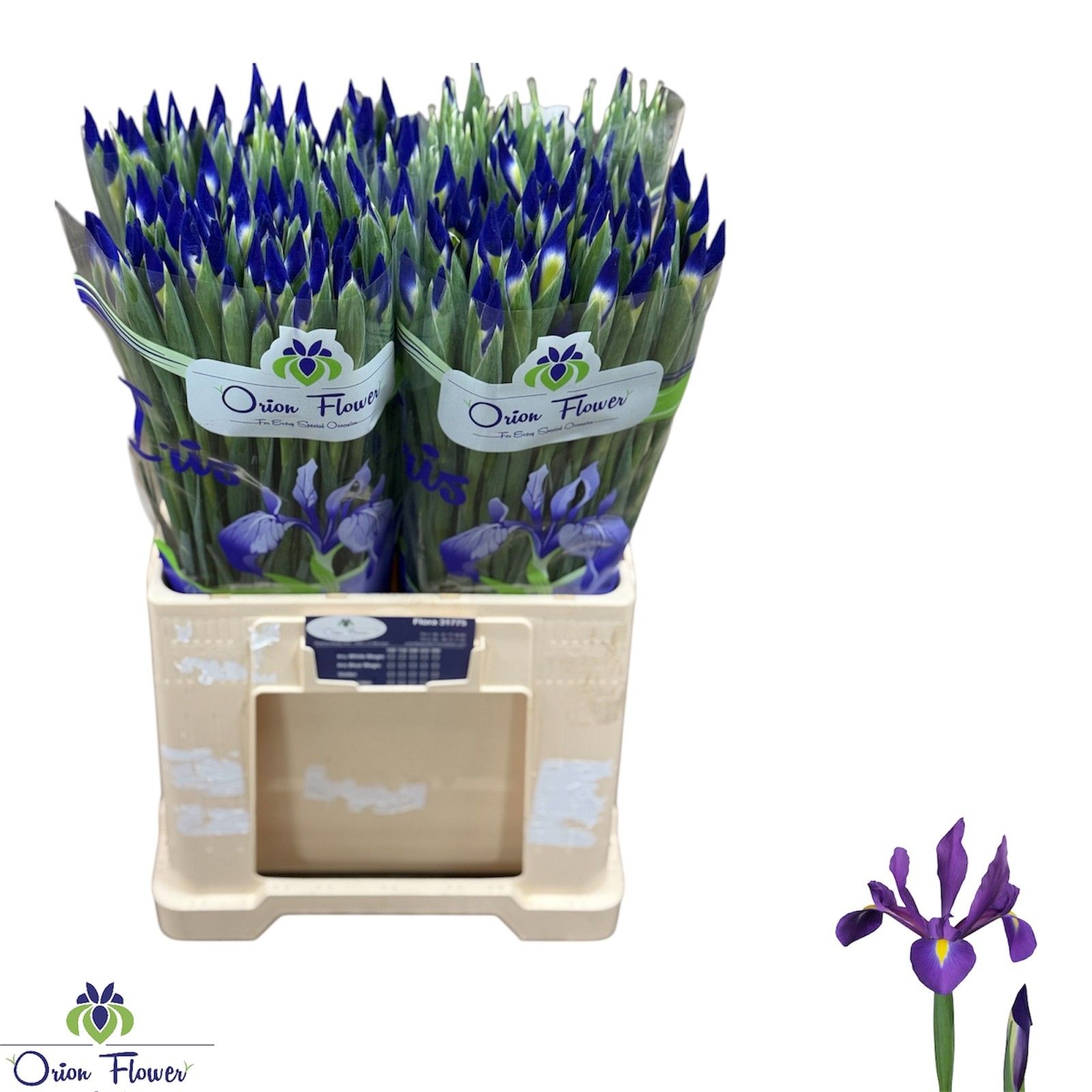 Ирис Блю Мэджик (син.), шт.