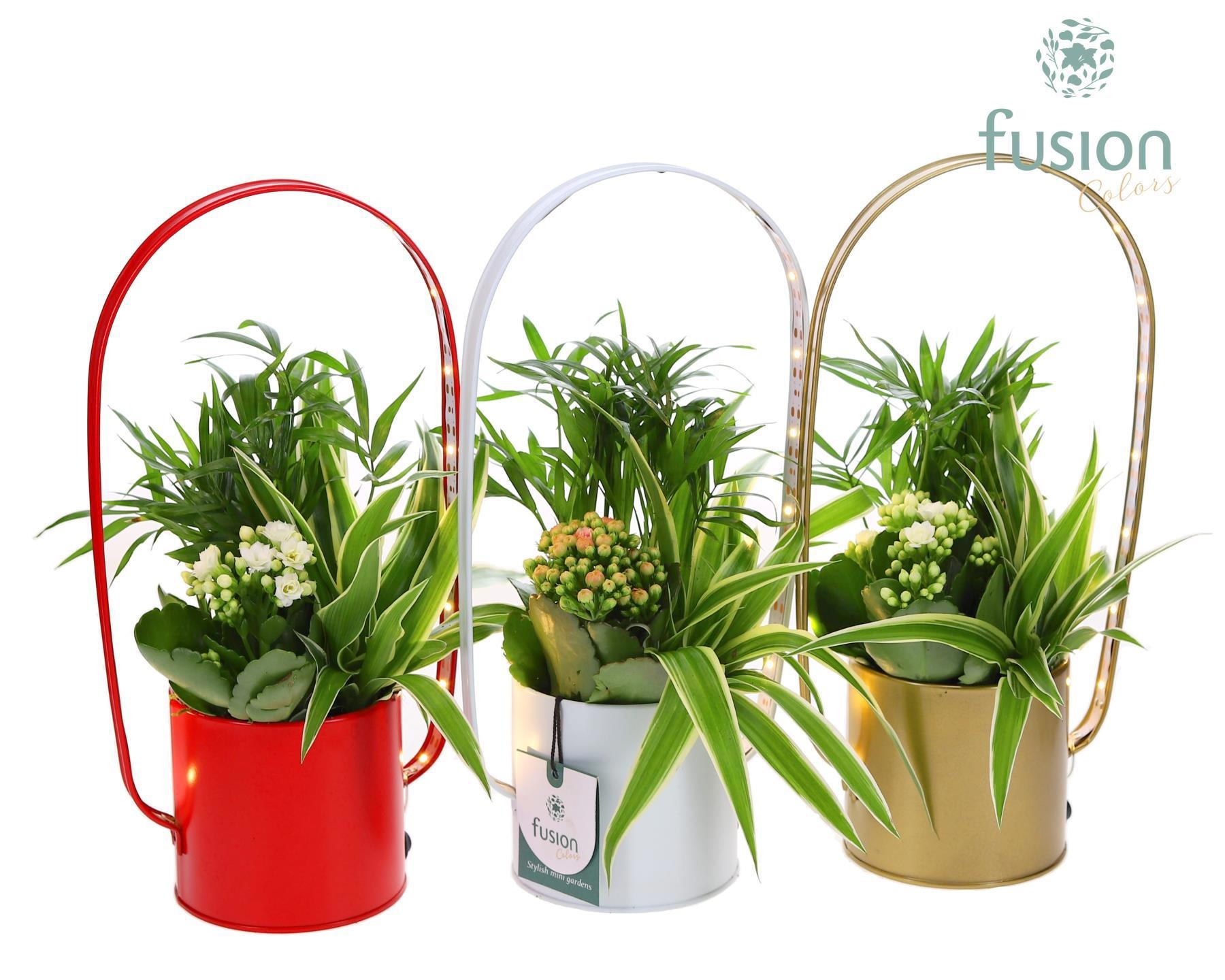 Led planter zink boog met Arrangement, D 9