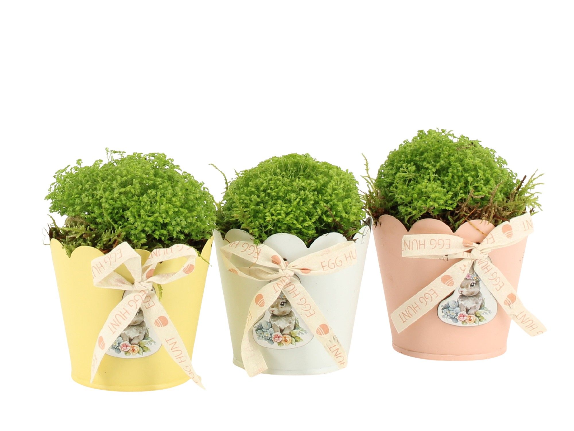 70856: Easter arrangement, D 8