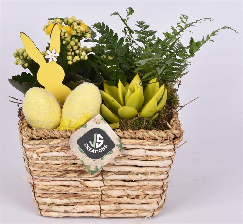 Natuur mand 17x17cm, D 17