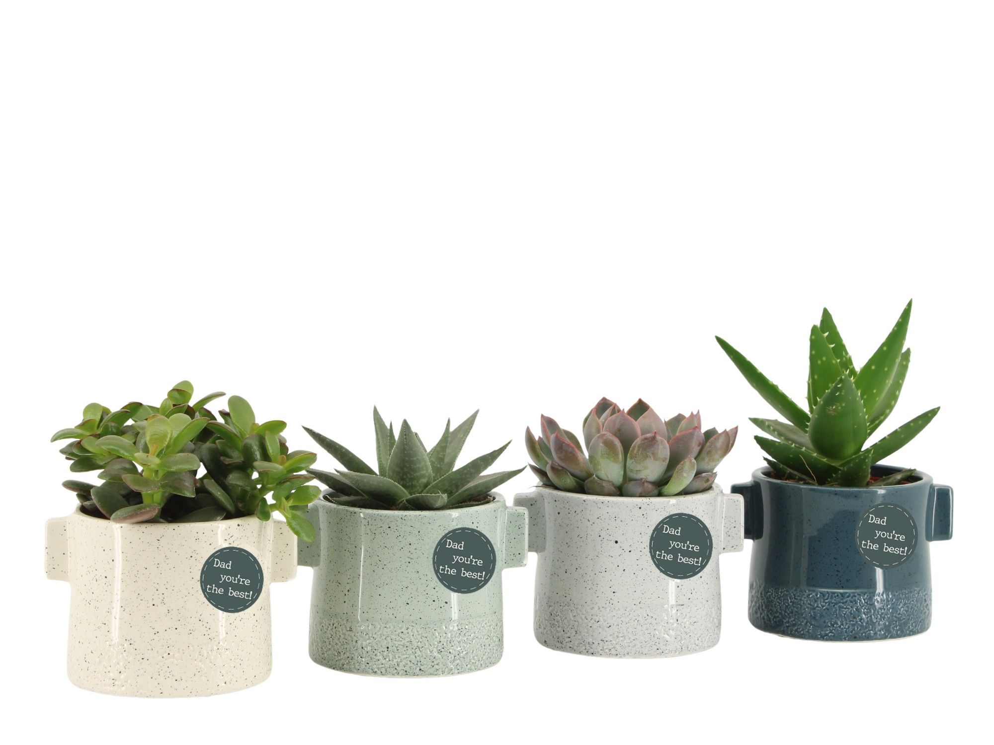 21781: Solutionss Father's day, D 8,5