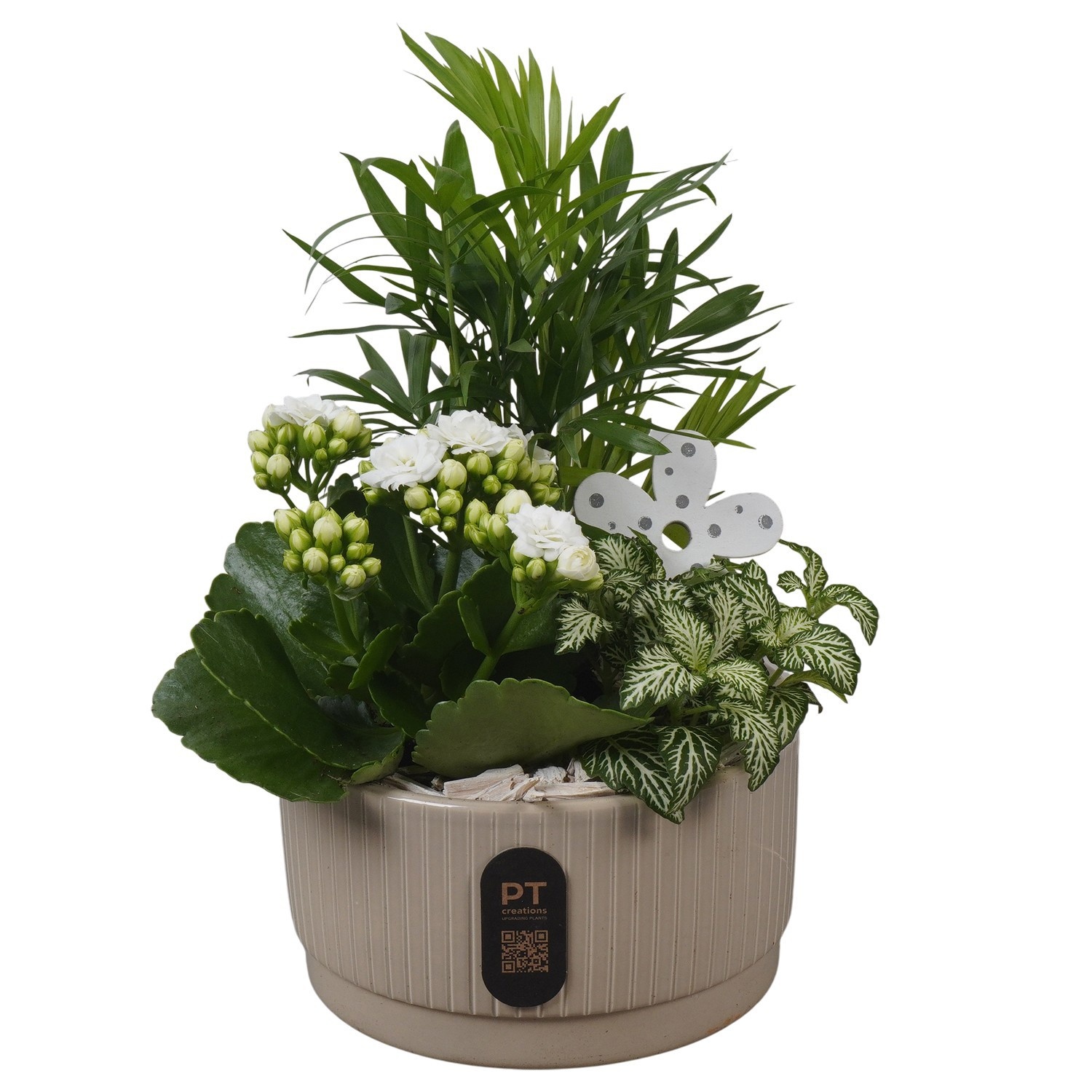 PTIB5106 Arrangement Indoor in keramiek schaal, D 16