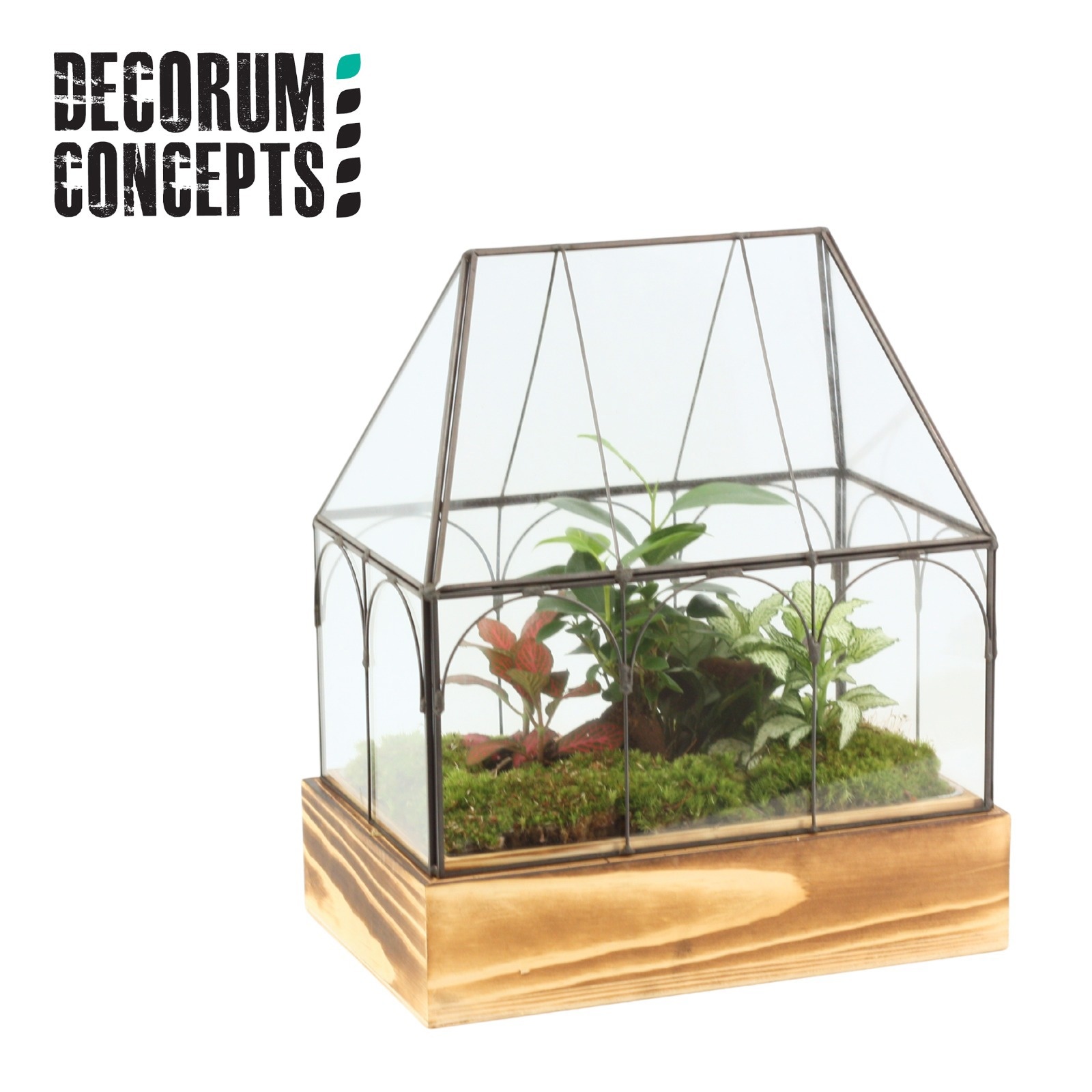 Terrarium Wardian Case Two (Decorum concepts), D 32