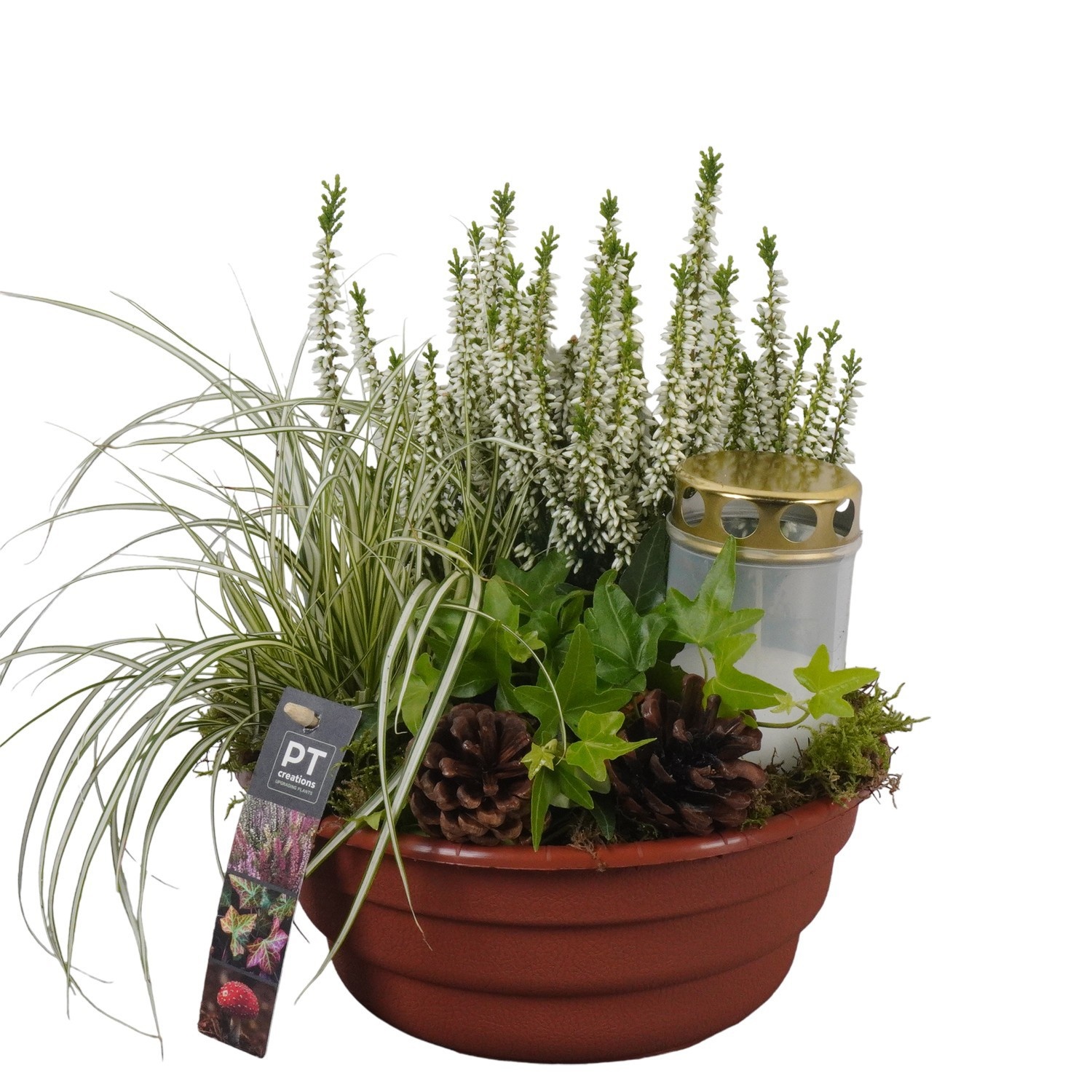 PTAH8689 Arrangement Allerheiligen in plastic schaal, D 21 cm PTAH8689 Arrangement Allerheiligen in plastic schaal, D 21 cm