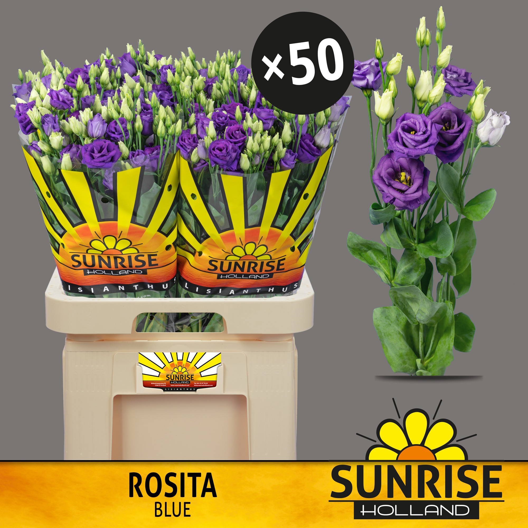 Эустома Розита Блю 70 (син.), шт.