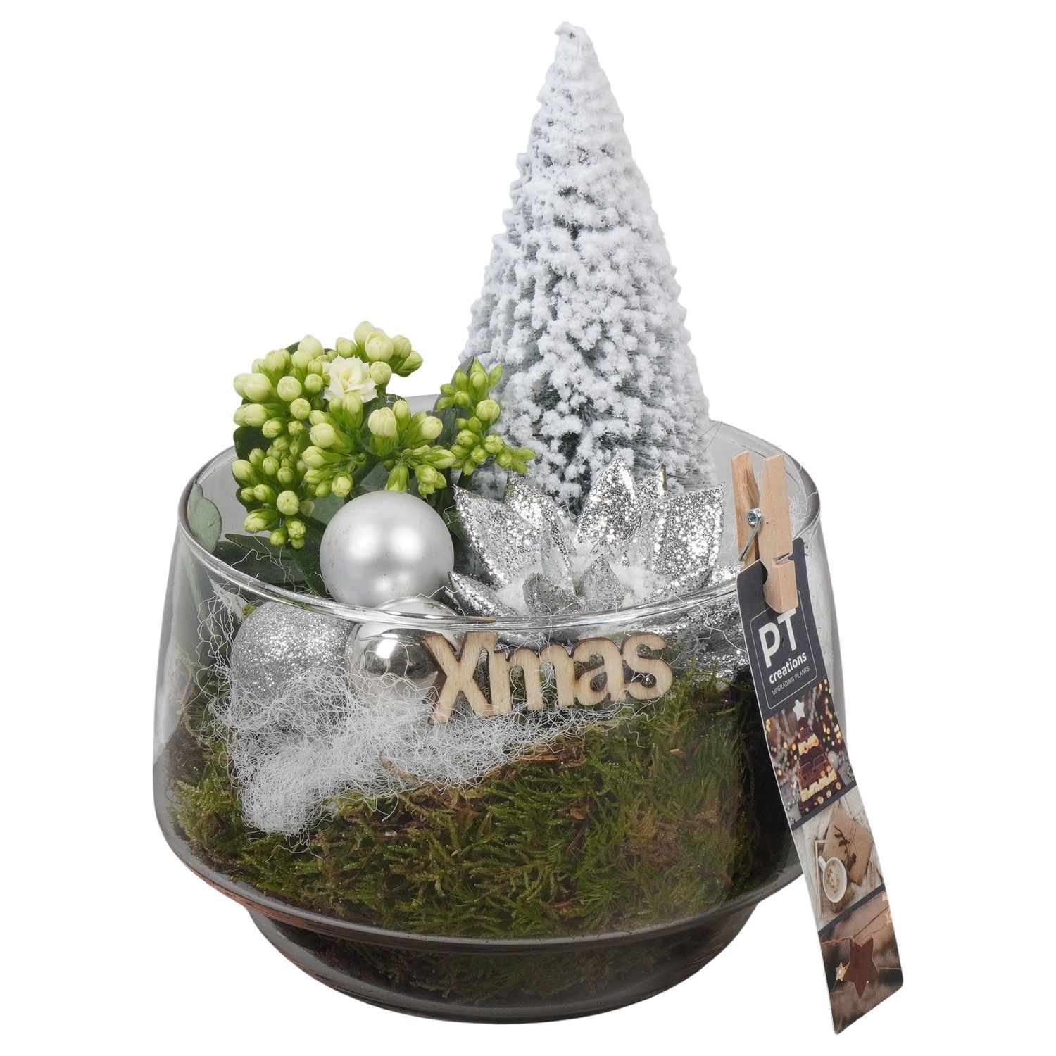 PTCHW4381 Arrangement Christmas White in glazen pot, D 17 cm