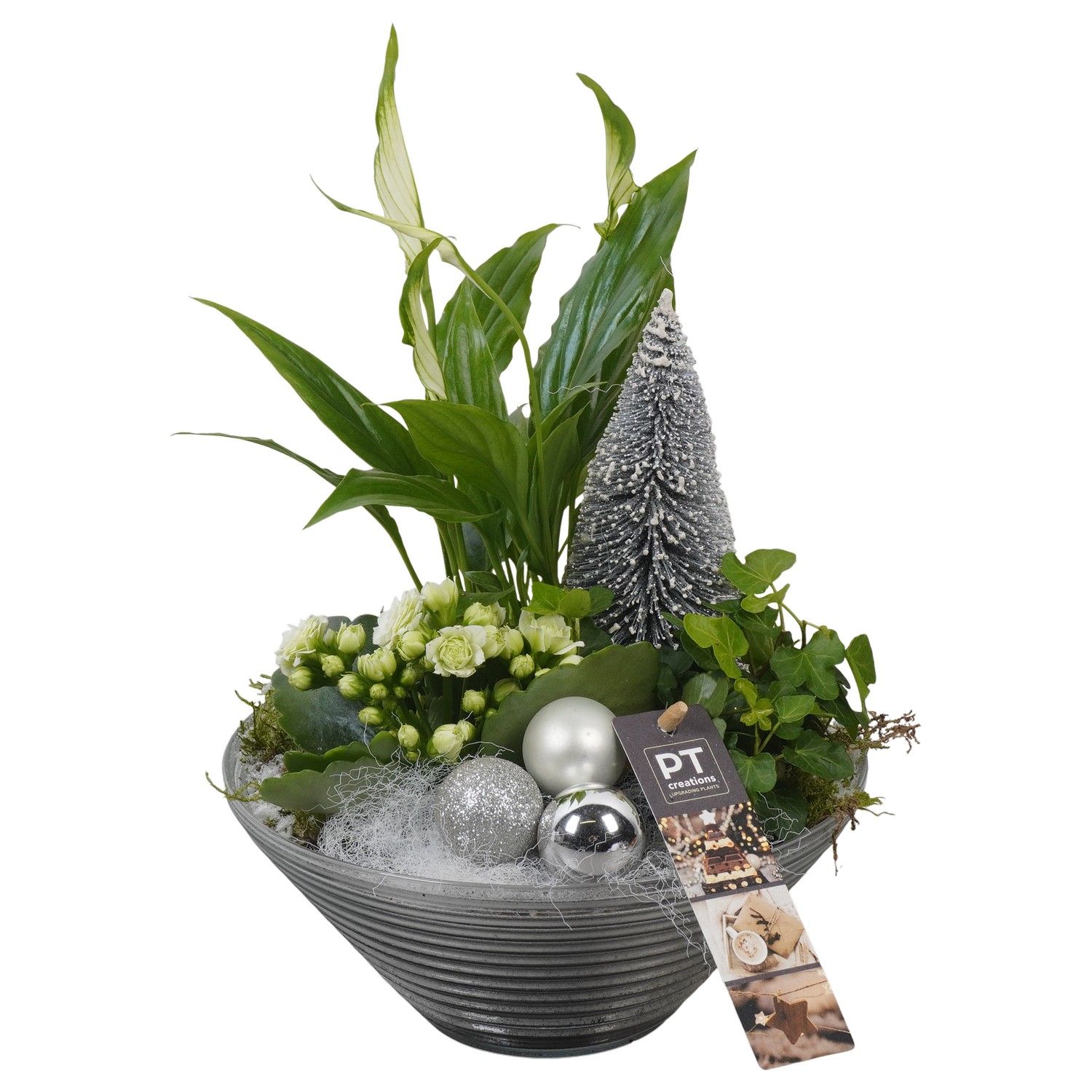 PTCHW4353 Arrangement Christmas White in glas schaal, D 19 cm
