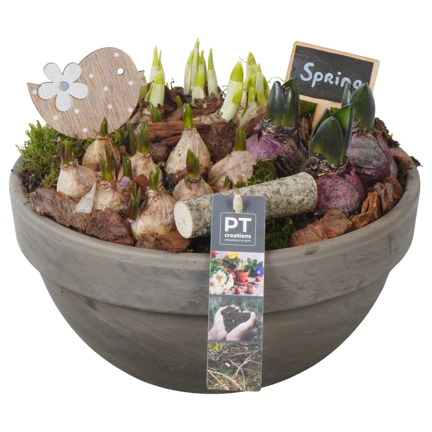 PTBM3878 Arrangement Flower Bulbs Mix in terracotta schaal, D 26