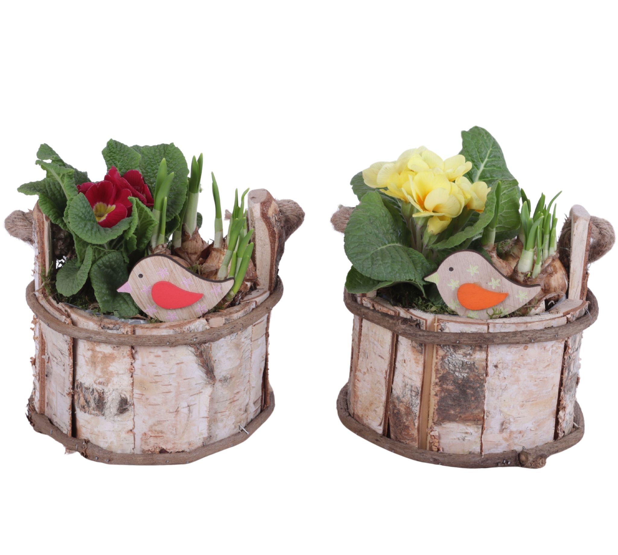 Early Spring Arr. Outdoor Wooden Pot Round Birchwood Ø20cm 2PP, D 20