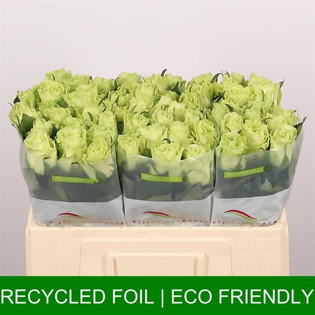 Роза од. Камуфляж! 50, шт.