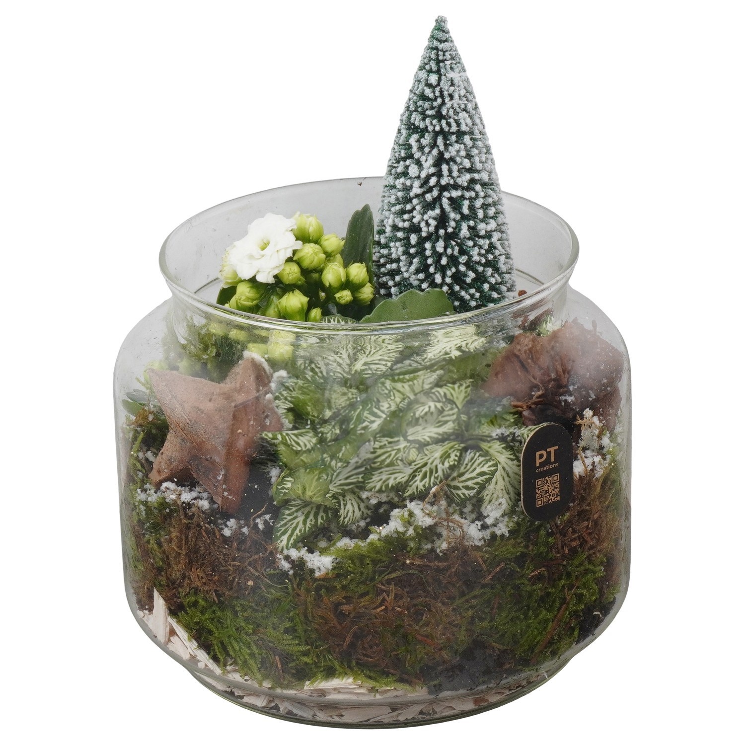 PTCHGR1926 Arrangement Christmas Green in glazen vaas, D 16