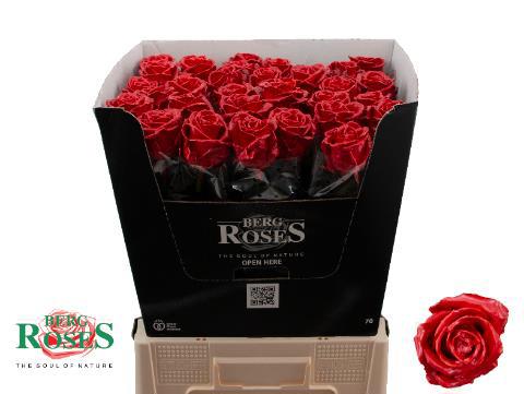 Роза од. Овериг в воске 70, шт.