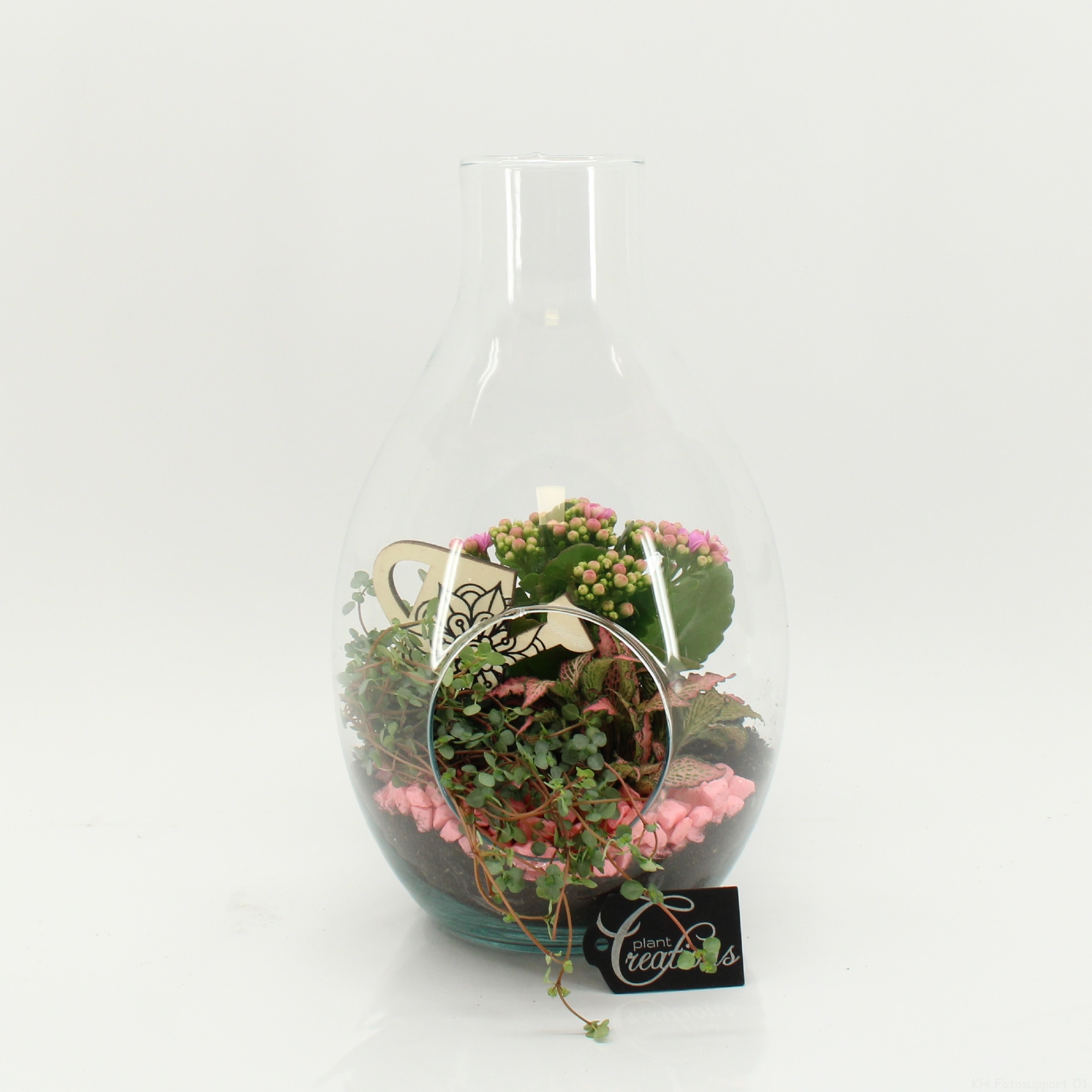 FDCR-2605RZ Basic Fundamentals terrarium, D 17