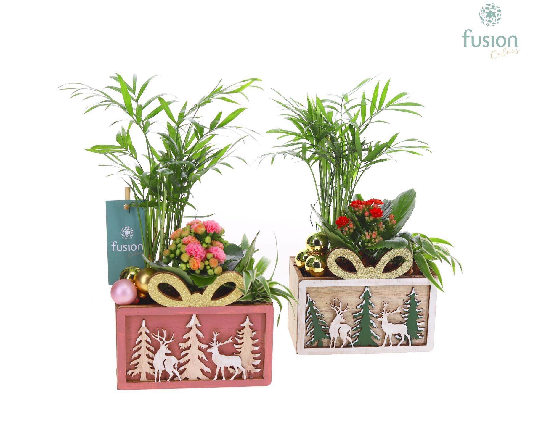 Kerst planter hout met Arrangement, D 15