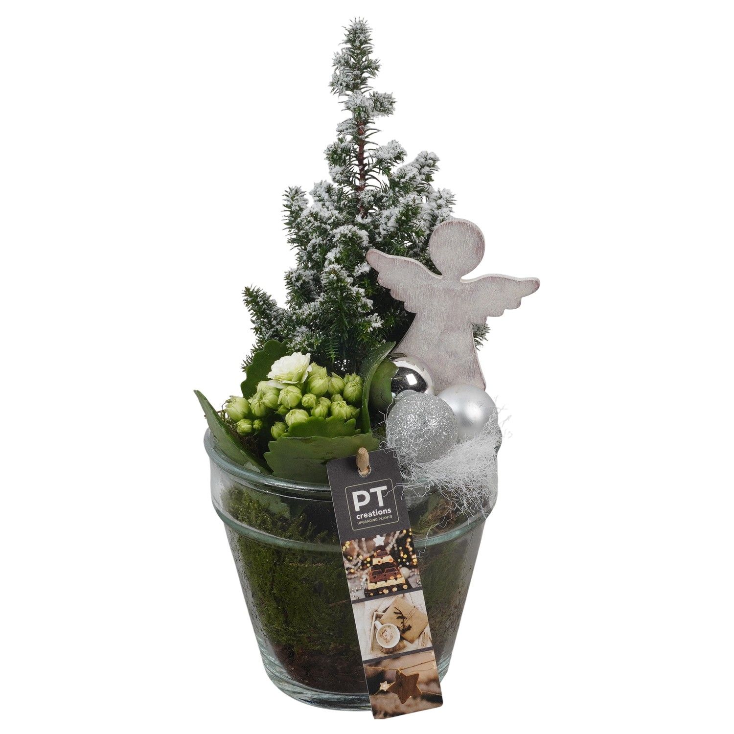 PTCHW4346 Arrangement Christmas White in glazen pot, D 13 cm